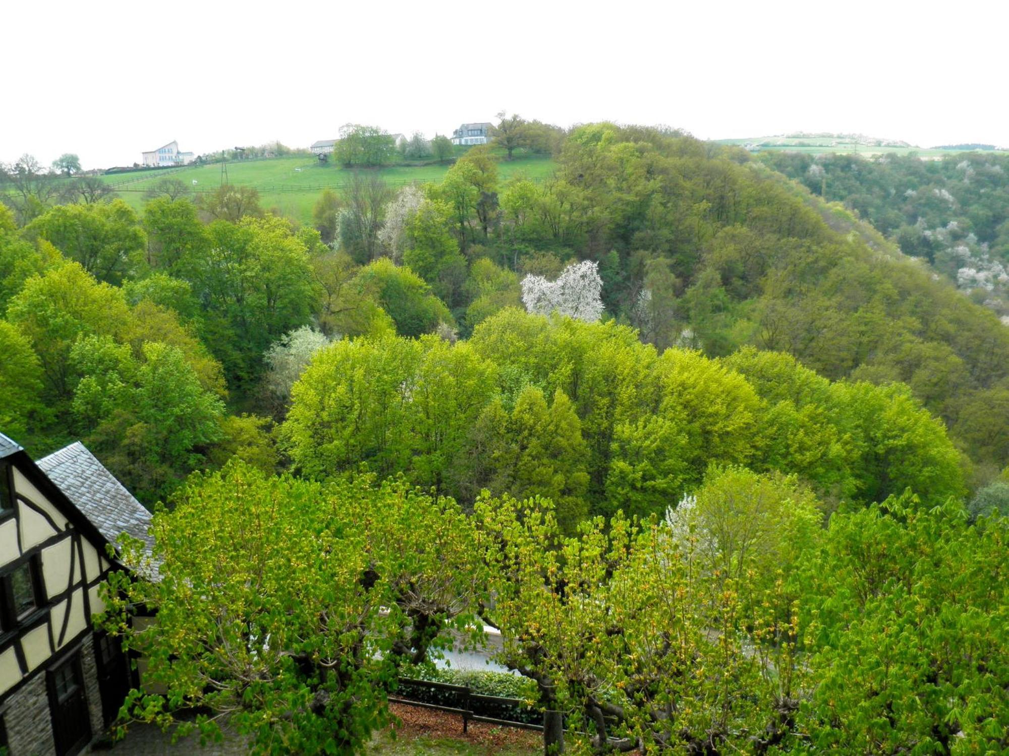 Burghotel Auf Schoenburg Oberwesel Szoba fotó